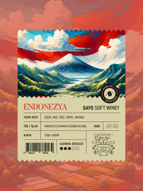 Endonezya Gayo Soft Winey Mikrolot Filtre Kahve (250 GR)