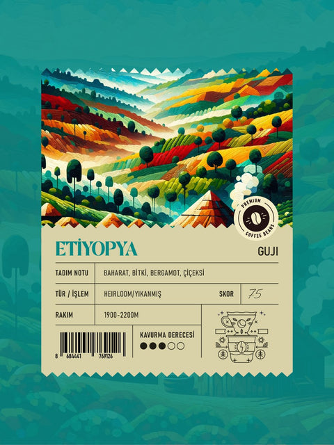 Etiyopya Guji Premium Filtre Kahve (250 GR)