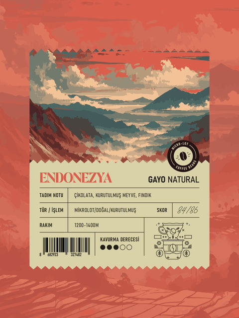 Endonezya Gayo Natural Mikrolot Filtre Kahve (250 GR)